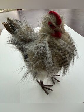 Decorative feathered rooster, like new.